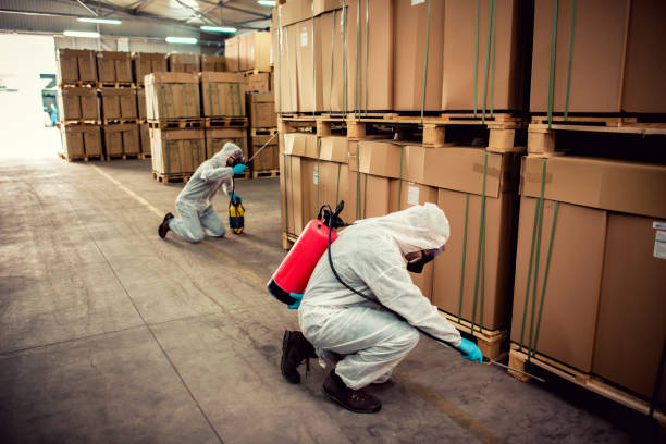 Best Wasp Removal Services  in Ashland, MO