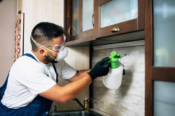 Best Best Pest Control Near Me  in Ashland, MO